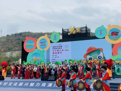 四川乡村文化魅力 雅安汉源开启互联网文化新篇章